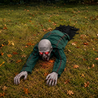 Zombie Rampant Animé